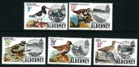 1984 Birds