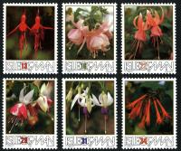 1988 British Fuchsia Society