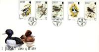 1992 Winter Birds