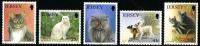 1994 Cats (1st series), 21st Anniversary of Jersey Cat Club
