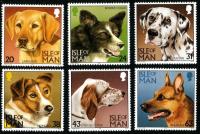 1996 Dogs