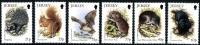 1999 Jersey Nature, Small Mammals