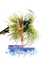 2002 Year Pack