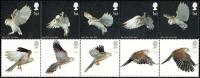 2003 Birds of Prey