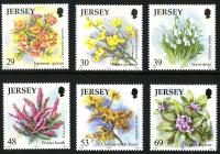 2003 Seasonal Flowers (2nd series), Winter