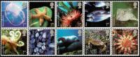 2007 Sea Life
