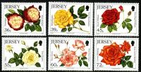 2010 Roses
