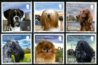 2013 125th Anniversary of the Kennel Club of Jersey