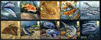 2014 Sustainable Fish