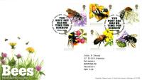 2015 Bees (Addressed)
