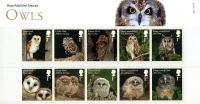 2018 Owls Pack
