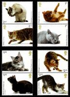 2022 Cats