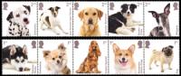 2024 Dogs