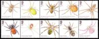 2024 Spiders