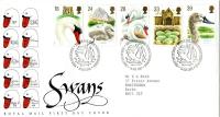 1993 Swans (Addressed)