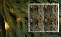 SG 2156a Trees  tree roots