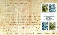 SG En6a Bronte Charlette letter