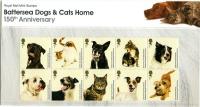 2010 Battersea Cats & Dogs pack