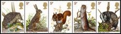 1977 British Wildlife 1977 British Wildlife