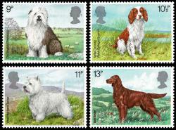 1979 Dogs 1979 Dogs