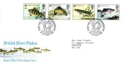 1983 River Fish (Addressed) 1983 River Fish (Addressed)