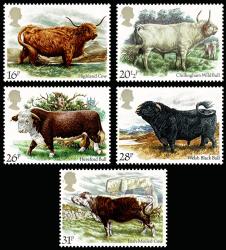 1984 British Cattle 1984 British Cattle