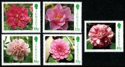 1995 Camellias