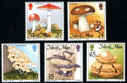 1995 Fungi 1995 Fungi