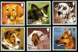 1996 Dogs 1996 Dogs