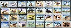 1997 Birds