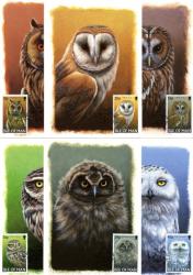 1997 Owl Cards