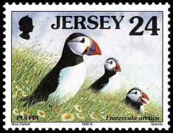 1997 Seabirds and Waders 24p with Copyright Symbol