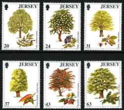1997 Trees