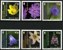 2004 Wild Flowers 2004 Wild Flowers