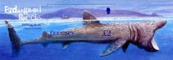 2005 Endangered Shark MS