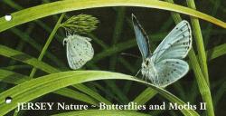 2006 Butterflies & Moths M/S pack