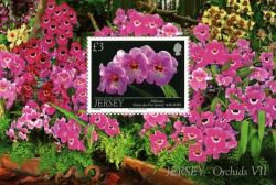 2011 Jersey Orchids 7th Series MS 2011 Jersey Orchids 7th Series MS