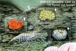 2011 Marine Life Sea Squirts & Sponges MS