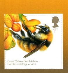 2015 Bees Self-adhesive (SG3743) 2015 Bees Self-adhesive (SG3743)