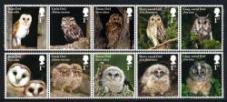 2018 Owls 2018 Owls