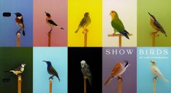 2021 Show Birds Pack
