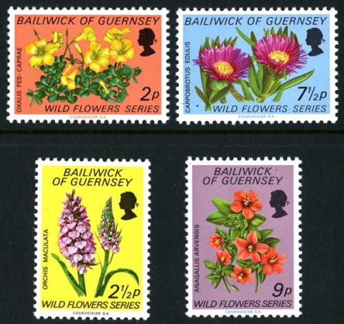 1972 Wild Flowers