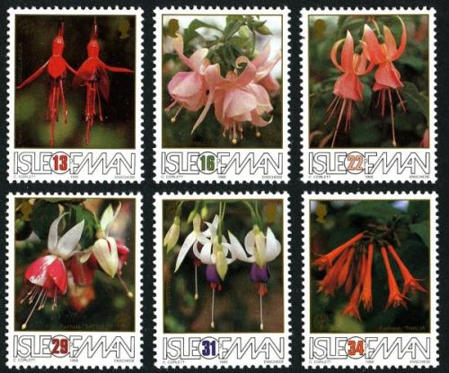 1988 British Fuchsia Society