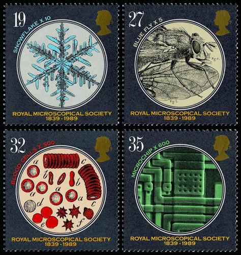 1989 Royal Microscopical Society