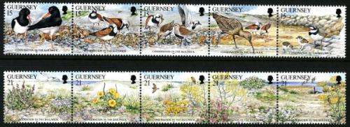 1991 Nature Conservation, L'Eree Shingle Bank Reserve