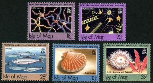 1992 Marine Laboratory
