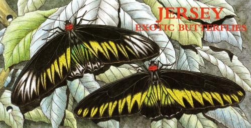 1995 Butterflies pack