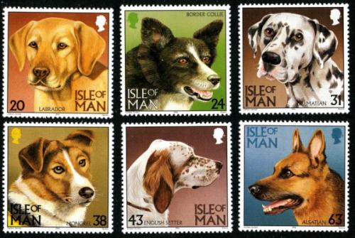 1996 Dogs