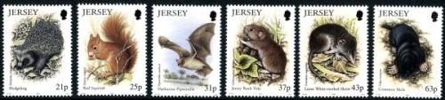 1999 Jersey Nature, Small Mammals