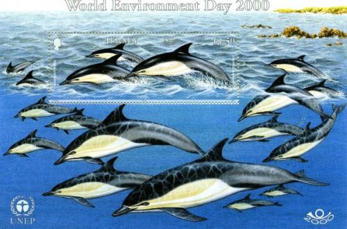 2000 Marine Mammals MS